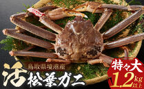 ＜11月中旬～3月中旬発送予定＞＜期間限定＞活松葉ガニ&nbsp;特々大&nbsp;1.2kg以上&nbsp;|&nbsp;松葉ガニ&nbsp;松葉がに&nbsp;活蟹&nbsp;活ガニ&nbsp;活かに&nbsp;ズワイガニ&nbsp;ずわいがに&nbsp;蟹&nbsp;かに&nbsp;カニ&nbsp;特々大&nbsp;特大&nbsp;大型&nbsp;カニ姿&nbsp;丸ごと&nbsp;生&nbsp;新鮮&nbsp;海鮮&nbsp;魚介&nbsp;魚介類&nbsp;高級食材&nbsp;贅沢食材&nbsp;産地直送&nbsp;カニ刺し&nbsp;刺身&nbsp;カニ鍋&nbsp;味噌&nbsp;冬限定&nbsp;期間限定&nbsp;冷蔵&nbsp;お取り寄せ&nbsp;グルメ&nbsp;人気&nbsp;おすすめ&nbsp;ギフト&nbsp;贈り物&nbsp;国産&nbsp;境港産&nbsp;鳥取県&nbsp;境港市