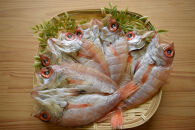 のどぐろ開干(大～中サイズ/2～4尾)