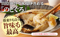 のどぐろ開干(大～中サイズ/2～4尾)&nbsp;【鳥取県&nbsp;境港市】