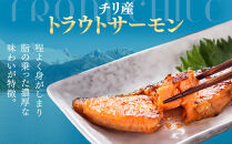 トラウトサーモンフィーレ&nbsp;(計2.5kg・2枚入)&nbsp;【鳥取県&nbsp;境港市】
