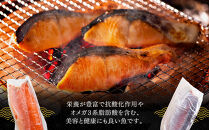 トラウトサーモンフィーレ&nbsp;(計2.5kg・2枚入)&nbsp;【鳥取県&nbsp;境港市】