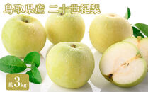 ＜数量限定＞＜2026年8月下旬以降順次発送予定＞鳥取県産二十世紀梨(約3kg)&nbsp;【鳥取県&nbsp;境港市】