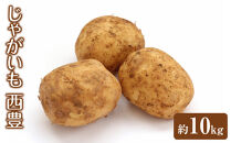 ＜先行予約受付中！12月中旬～2月中旬発送予定＞じゃがいも&nbsp;西豊(約10kg)&nbsp;|&nbsp;じゃがいも&nbsp;ジャガイモ&nbsp;ばれいしょ&nbsp;西豊&nbsp;野菜&nbsp;国産野菜&nbsp;産地直送&nbsp;大容量&nbsp;まとめ買い&nbsp;&nbsp;ポテト&nbsp;フライドポテト&nbsp;コロッケ&nbsp;マッシュポテト&nbsp;料理&nbsp;&nbsp;食材&nbsp;お取り寄せ&nbsp;グルメ&nbsp;人気&nbsp;おすすめ&nbsp;鳥取県&nbsp;境港市