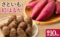 ＜先行予約受付中！10月上旬～2月下旬発送予定＞さといもと紅はるかのセット(約10kg)&nbsp;【鳥取県&nbsp;境港市】