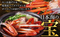 ＜火～木着※指定日不可＞＜7月～9月上旬発送不可＞浜茹ベニズワイガニ足欠(2枚/計約800g以上)&nbsp;|&nbsp;紅ズワイガニ&nbsp;紅ずわいがに&nbsp;ズワイガニ&nbsp;ずわいがに&nbsp;蟹&nbsp;かに&nbsp;カニ&nbsp;ボイル&nbsp;ボイル済み&nbsp;茹で&nbsp;浜茹で&nbsp;カニ姿&nbsp;丸ごと&nbsp;足欠&nbsp;足折れ&nbsp;訳あり&nbsp;家庭用&nbsp;海鮮&nbsp;魚介&nbsp;魚介類&nbsp;食べやすい&nbsp;旨味&nbsp;カニ味噌&nbsp;冷蔵&nbsp;冷凍&nbsp;お取り寄せ&nbsp;グルメ&nbsp;人気&nbsp;おすすめ&nbsp;境港産&nbsp;鳥取県&nbsp;境港市