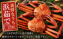 ＜火～木着※指定日不可＞＜7月～9月上旬発送不可＞浜茹ベニズワイガニ足欠(2枚/計約800g以上)&nbsp;|&nbsp;紅ズワイガニ&nbsp;紅ずわいがに&nbsp;ズワイガニ&nbsp;ずわいがに&nbsp;蟹&nbsp;かに&nbsp;カニ&nbsp;ボイル&nbsp;ボイル済み&nbsp;茹で&nbsp;浜茹で&nbsp;カニ姿&nbsp;丸ごと&nbsp;足欠&nbsp;足折れ&nbsp;訳あり&nbsp;家庭用&nbsp;海鮮&nbsp;魚介&nbsp;魚介類&nbsp;食べやすい&nbsp;旨味&nbsp;カニ味噌&nbsp;冷蔵&nbsp;冷凍&nbsp;お取り寄せ&nbsp;グルメ&nbsp;人気&nbsp;おすすめ&nbsp;境港産&nbsp;鳥取県&nbsp;境港市