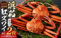 ＜金～日着※指定日不可＞＜7月～9月上旬発送不可＞浜茹ベニズワイガニ足欠(2枚/計約800g以上)&nbsp;|&nbsp;紅ズワイガニ&nbsp;紅ずわいがに&nbsp;ズワイガニ&nbsp;ずわいがに&nbsp;蟹&nbsp;かに&nbsp;カニ&nbsp;ボイル&nbsp;ボイル済み&nbsp;茹で&nbsp;浜茹で&nbsp;カニ姿&nbsp;丸ごと&nbsp;足欠&nbsp;足折れ&nbsp;訳あり&nbsp;家庭用&nbsp;海鮮&nbsp;魚介&nbsp;魚介類&nbsp;食べやすい&nbsp;旨味&nbsp;カニ味噌&nbsp;冷蔵&nbsp;冷凍&nbsp;お取り寄せ&nbsp;グルメ&nbsp;人気&nbsp;おすすめ&nbsp;境港産&nbsp;鳥取県&nbsp;境港市