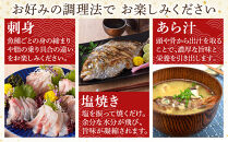 ＜火～木着※指定日不可＞＜期間限定＞＜4月上旬～10月末頃発送予定＞朝獲れ鮮魚ボックス「美保湾の恵み」(計2.5kg以上)&nbsp;|&nbsp;鮮魚&nbsp;魚&nbsp;さかな&nbsp;海鮮&nbsp;魚介&nbsp;魚介類&nbsp;朝獲れ&nbsp;朝どれ&nbsp;新鮮&nbsp;直送&nbsp;セット&nbsp;おまかせ&nbsp;バラエティ&nbsp;旬&nbsp;季節限定&nbsp;地魚&nbsp;日本海&nbsp;美保湾&nbsp;産地直送&nbsp;焼き魚&nbsp;煮魚&nbsp;調理用&nbsp;家庭用&nbsp;食べ比べ&nbsp;お取り寄せ&nbsp;グルメ&nbsp;人気&nbsp;おすすめ&nbsp;鳥取県&nbsp;境港市