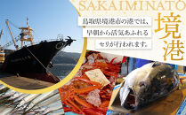 ＜火～木着※指定日不可＞＜期間限定＞＜4月上旬～10月末頃発送予定＞朝獲れ鮮魚ボックス「美保湾の恵み」(計2.5kg以上)&nbsp;|&nbsp;鮮魚&nbsp;魚&nbsp;さかな&nbsp;海鮮&nbsp;魚介&nbsp;魚介類&nbsp;朝獲れ&nbsp;朝どれ&nbsp;新鮮&nbsp;直送&nbsp;セット&nbsp;おまかせ&nbsp;バラエティ&nbsp;旬&nbsp;季節限定&nbsp;地魚&nbsp;日本海&nbsp;美保湾&nbsp;産地直送&nbsp;焼き魚&nbsp;煮魚&nbsp;調理用&nbsp;家庭用&nbsp;食べ比べ&nbsp;お取り寄せ&nbsp;グルメ&nbsp;人気&nbsp;おすすめ&nbsp;鳥取県&nbsp;境港市