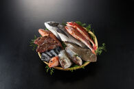 ＜金～日着※指定日不可＞＜期間限定＞＜4月上旬～10月末頃発送予定＞朝獲れ鮮魚ボックス「美保湾の恵み」(計2.5kg以上)