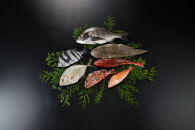 ＜金～日着※指定日不可＞＜期間限定＞＜4月上旬～10月末頃発送予定＞朝獲れ鮮魚ボックス「美保湾の恵み」(計2.5kg以上)