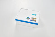 ＜金～日着※指定日不可＞＜期間限定＞＜4月上旬～10月末頃発送予定＞朝獲れ鮮魚ボックス「美保湾の恵み」(計2.5kg以上)