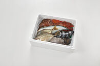 ＜金～日着※指定日不可＞＜期間限定＞＜4月上旬～10月末頃発送予定＞朝獲れ鮮魚ボックス「美保湾の恵み」(計2.5kg以上)