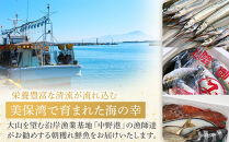 ＜金～日着※指定日不可＞＜期間限定＞＜4月上旬～10月末頃発送予定＞朝獲れ鮮魚ボックス「美保湾の恵み」(計2.5kg以上)&nbsp;|&nbsp;鮮魚&nbsp;魚&nbsp;さかな&nbsp;海鮮&nbsp;魚介&nbsp;魚介類&nbsp;朝獲れ&nbsp;朝どれ&nbsp;新鮮&nbsp;直送&nbsp;セット&nbsp;おまかせ&nbsp;バラエティ&nbsp;旬&nbsp;季節限定&nbsp;地魚&nbsp;日本海&nbsp;美保湾&nbsp;産地直送&nbsp;焼き魚&nbsp;煮魚&nbsp;調理用&nbsp;家庭用&nbsp;食べ比べ&nbsp;お取り寄せ&nbsp;グルメ&nbsp;人気&nbsp;おすすめ&nbsp;鳥取県&nbsp;境港市