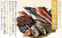 ＜金～日着※指定日不可＞＜期間限定＞＜4月上旬～10月末頃発送予定＞朝獲れ鮮魚ボックス「美保湾の恵み」(計2.5kg以上)&nbsp;|&nbsp;鮮魚&nbsp;魚&nbsp;さかな&nbsp;海鮮&nbsp;魚介&nbsp;魚介類&nbsp;朝獲れ&nbsp;朝どれ&nbsp;新鮮&nbsp;直送&nbsp;セット&nbsp;おまかせ&nbsp;バラエティ&nbsp;旬&nbsp;季節限定&nbsp;地魚&nbsp;日本海&nbsp;美保湾&nbsp;産地直送&nbsp;焼き魚&nbsp;煮魚&nbsp;調理用&nbsp;家庭用&nbsp;食べ比べ&nbsp;お取り寄せ&nbsp;グルメ&nbsp;人気&nbsp;おすすめ&nbsp;鳥取県&nbsp;境港市