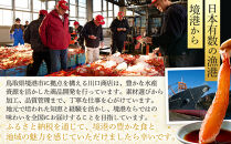 ＜金～日着※指定日不可＞＜期間限定＞＜4月上旬～10月末頃発送予定＞朝獲れ鮮魚ボックス「美保湾の恵み」(計2.5kg以上)&nbsp;|&nbsp;鮮魚&nbsp;魚&nbsp;さかな&nbsp;海鮮&nbsp;魚介&nbsp;魚介類&nbsp;朝獲れ&nbsp;朝どれ&nbsp;新鮮&nbsp;直送&nbsp;セット&nbsp;おまかせ&nbsp;バラエティ&nbsp;旬&nbsp;季節限定&nbsp;地魚&nbsp;日本海&nbsp;美保湾&nbsp;産地直送&nbsp;焼き魚&nbsp;煮魚&nbsp;調理用&nbsp;家庭用&nbsp;食べ比べ&nbsp;お取り寄せ&nbsp;グルメ&nbsp;人気&nbsp;おすすめ&nbsp;鳥取県&nbsp;境港市