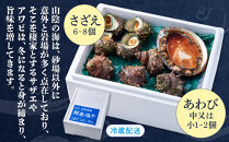 ＜平日着＞＜1月上旬～2月上旬頃順次配送＞あわび・さざえ詰合せ(2種)&nbsp;【鳥取県&nbsp;境港市】