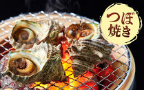 ＜土日祝着＞＜1月上旬～2月上旬頃順次配送＞あわび・さざえ詰合せ(2種)&nbsp;【鳥取県&nbsp;境港市】