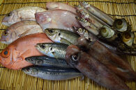 ＜平日着＞＜7～8月・年末年始配送不可＞おすすめ鮮魚詰め合わせ(4～5種類)
