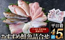 ＜平日着＞＜7～8月・年末年始配送不可＞おすすめ鮮魚詰め合わせ(4～5種類)&nbsp;【鳥取県&nbsp;境港市】