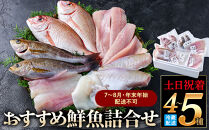 ＜土日祝着＞＜7～8月・年末年始配送不可＞おすすめ鮮魚詰め合わせ(4～5種類)&nbsp;【鳥取県&nbsp;境港市】