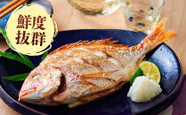 ＜土日祝着＞＜7～8月・年末年始配送不可＞おすすめ鮮魚詰め合わせ(4～5種類)&nbsp;【鳥取県&nbsp;境港市】