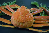 ＜土日祝着＞＜訳あり！1月中旬～2月下旬配送予定＞茹で松葉がに&nbsp;足欠(約500g前後・1尾)