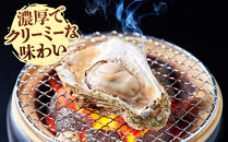＜平日着＞＜6月中旬～7月上旬頃順次配送＞今が旬！天然岩牡蠣(5～6個)&nbsp;【鳥取県&nbsp;境港市】