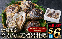 ＜土日祝着＞＜6月中旬～7月上旬頃順次配送＞今が旬！天然岩牡蠣(5～6個)&nbsp;【鳥取県&nbsp;境港市】