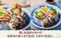 ＜土日祝着＞＜6月中旬～7月上旬頃順次配送＞今が旬！天然岩牡蠣(5～6個)&nbsp;【鳥取県&nbsp;境港市】