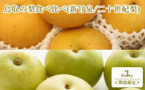 ＜数量限定＞＜2026年8月下旬以降順次発送予定＞鳥取の梨食べ比べ(新甘泉/二十世紀梨・計約3kg)&nbsp;【鳥取県&nbsp;境港市】