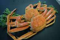 ＜土日祝着＞＜11月中旬～2月末頃順次配送予定＞タグ付きだけが松葉じゃない!!茹で松葉がに(足欠2尾/約1.3～1.4kg)