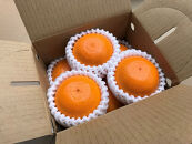 ［8箱セット］甘っ子&nbsp;小玉&nbsp;ハウス&nbsp;せとか&nbsp;9玉入&nbsp;×&nbsp;8箱&nbsp;手さげ箱&nbsp;南泰園