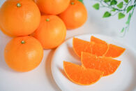 ［8箱セット］甘っ子&nbsp;小玉&nbsp;ハウス&nbsp;せとか&nbsp;9玉入&nbsp;×&nbsp;8箱&nbsp;手さげ箱&nbsp;南泰園