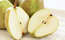 【2026年10月下旬以降お届け】果物の郷&nbsp;中山町からお届けします！洋梨「ラ・フランス」秀3L～4L&nbsp;5kg（14～16玉）