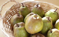 【2026年10月下旬以降お届け】果物の郷&nbsp;中山町からお届けします！洋梨「ラ・フランス」秀3L～4L&nbsp;5kg（14～16玉）