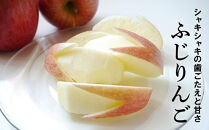 【2026年11月以降お届け】☆どっちも食べたい！大きいのが食べたい！！詰合せ＜ラ・フランス＆ふじりんご＞各6玉