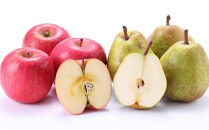 【2026年11月以降お届け】☆どっちも食べたい！大きいのが食べたい！！詰合せ＜ラ・フランス＆ふじりんご＞各6玉