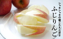 【2026年12月以降お届け】果物の郷&nbsp;中山町からお届けします！「ふじりんご」秀5kg（14～16玉）