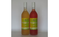 フルーティーさがたまらない！「すももワインセット」720ml×2本