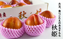【2026年度受付開始】☆中山町といえばこれ！すもも「秋姫」秀&nbsp;5L～6L　8～9玉入り2.4kg（1.2kg×2パック）
