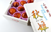 【2026年度受付開始】☆中山町といえばこれ！すもも「秋姫」秀&nbsp;5L～6L　8～9玉入り2.4kg（1.2kg×2パック）