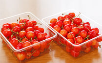 【2026年受付開始】☆果物の郷&nbsp;中山町からお届けします！さくらんぼ「佐藤錦」秀&nbsp;L1kg（バラ詰500g×2）　