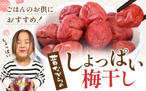 ＜訳あり＞宮城県角田産【無添加】まごころ手作り梅干し1.6kg（800g×2）｜梅干し&nbsp;田舎の梅干し&nbsp;すっぱい&nbsp;訳あり&nbsp;梅干&nbsp;うめぼし