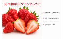 紀州和歌山ブランドいちご「紀の香」約250g×4P&nbsp;［UT143］