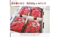 紀州和歌山ブランドいちご「紀の香」約250g×4P&nbsp;［UT143］