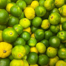 家庭用&nbsp;和歌山県産&nbsp;極早生みかん&nbsp;3kg