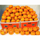 有田みかん&nbsp;10kg&nbsp;(約89個～95個)