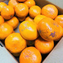 家庭用&nbsp;有田みかん&nbsp;2kg&nbsp;(約18個～20個)