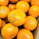 家庭用&nbsp;有田みかん&nbsp;3kg&nbsp;(約27個～30個)
